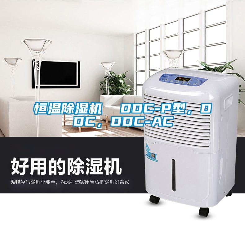 恒溫除濕機(jī)  DDC-P型，DDC，DDC-AC