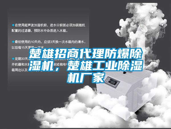 楚雄招商代理防爆除濕機(jī)，楚雄工業(yè)除濕機(jī)廠家