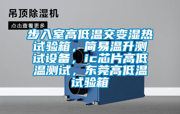 步入室高低溫交變濕熱試驗箱，簡易溫升測試設備，ic芯片高低溫測試，東莞高低溫試驗箱