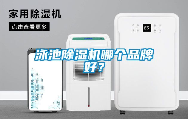 泳池除濕機哪個品牌好？