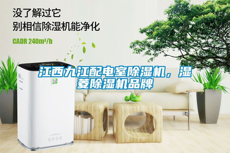 江西九江配電室除濕機，濕菱除濕機品牌