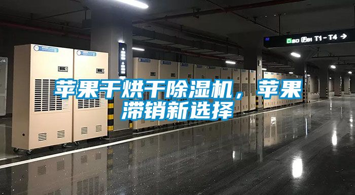 蘋果干烘干除濕機，蘋果滯銷新選擇