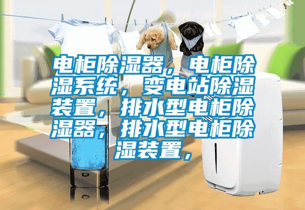 電柜除濕器，電柜除濕系統(tǒng)，變電站除濕裝置，排水型電柜除濕器，排水型電柜除濕裝置，