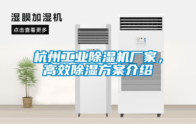 杭州工業(yè)除濕機廠家，高效除濕方案介紹