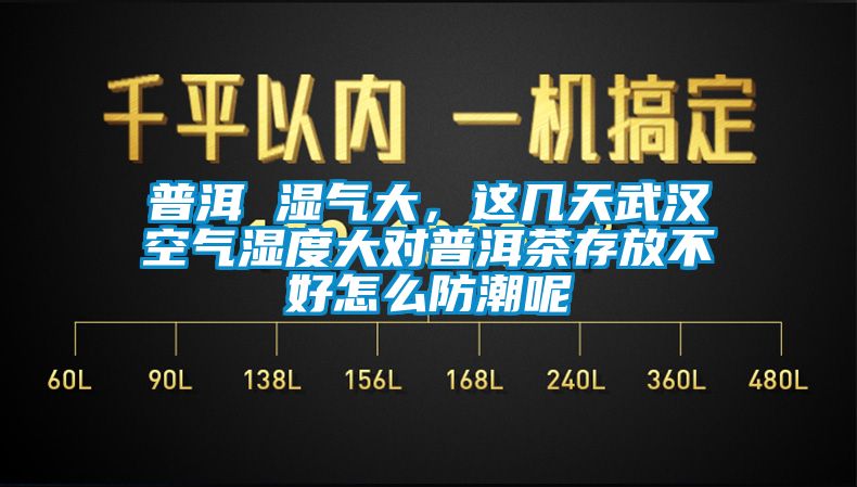 普洱 濕氣大，這幾天武漢空氣濕度大對普洱茶存放不好怎么防潮呢