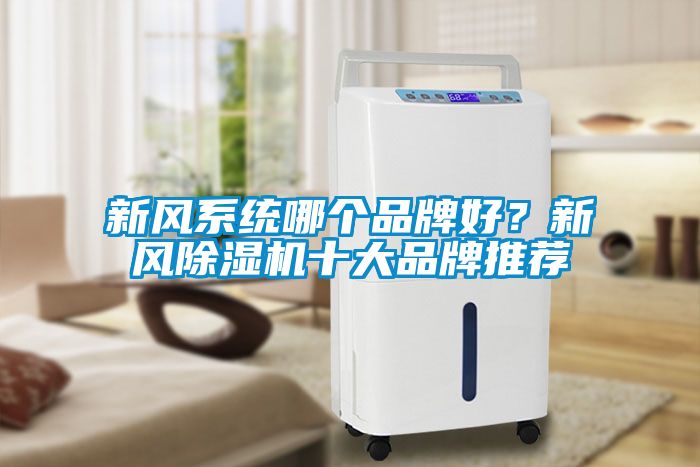 新風(fēng)系統(tǒng)哪個品牌好？新風(fēng)除濕機十大品牌推薦