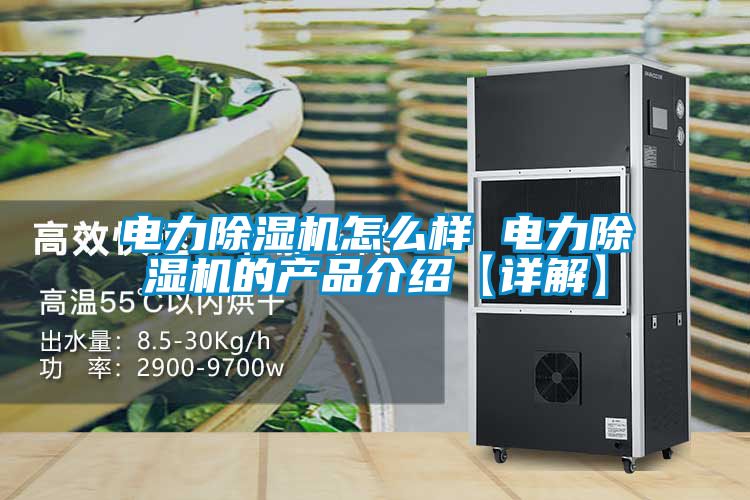 電力除濕機(jī)怎么樣 電力除濕機(jī)的產(chǎn)品介紹【詳解】