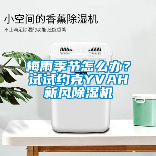 梅雨季節(jié)怎么辦？試試約克YVAH新風(fēng)除濕機