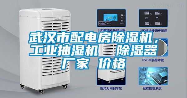 武漢市配電房除濕機(jī)，工業(yè)抽濕機(jī)  除濕器廠家 價格