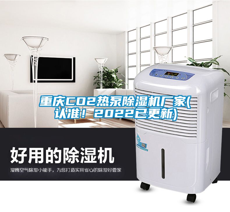 重慶CO2熱泵除濕機(jī)廠家(認(rèn)準(zhǔn)！2022已更新)