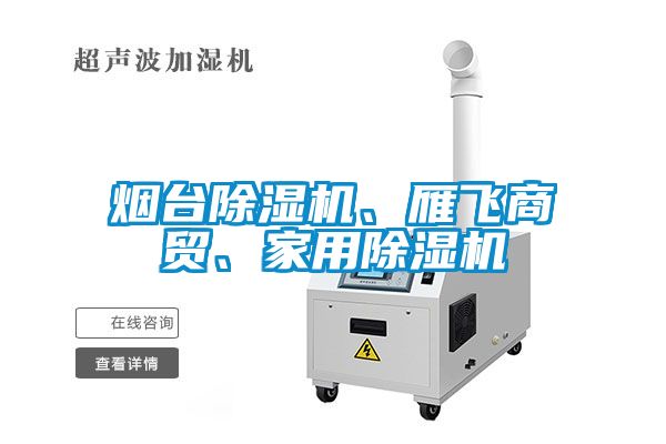 煙臺除濕機(jī)、雁飛商貿(mào)、家用除濕機(jī)