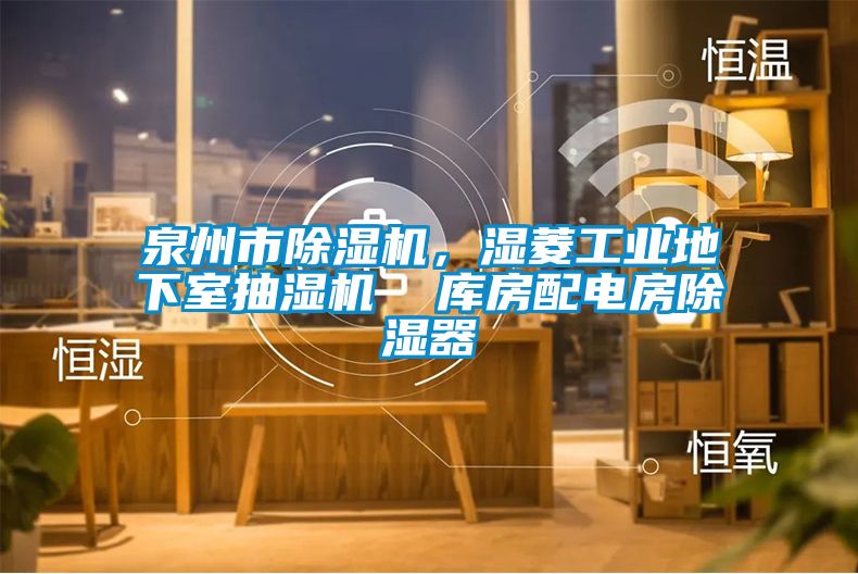 泉州市除濕機，濕菱工業(yè)地下室抽濕機  庫房配電房除濕器