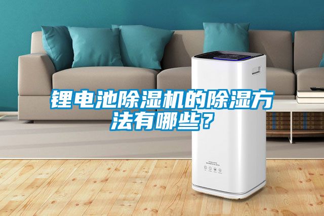 鋰電池除濕機的除濕方法有哪些？