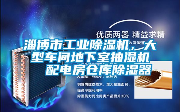 淄博市工業(yè)除濕機，大型車間地下室抽濕機  配電房倉庫除濕器