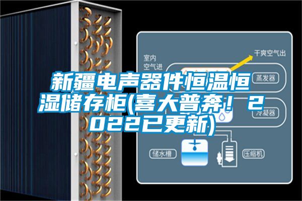 新疆電聲器件恒溫恒濕儲存柜(喜大普奔！2022已更新)