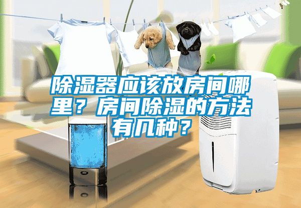 除濕器應(yīng)該放房間哪里？房間除濕的方法有幾種？