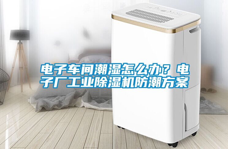 電子車(chē)間潮濕怎么辦？電子廠工業(yè)除濕機(jī)防潮方案