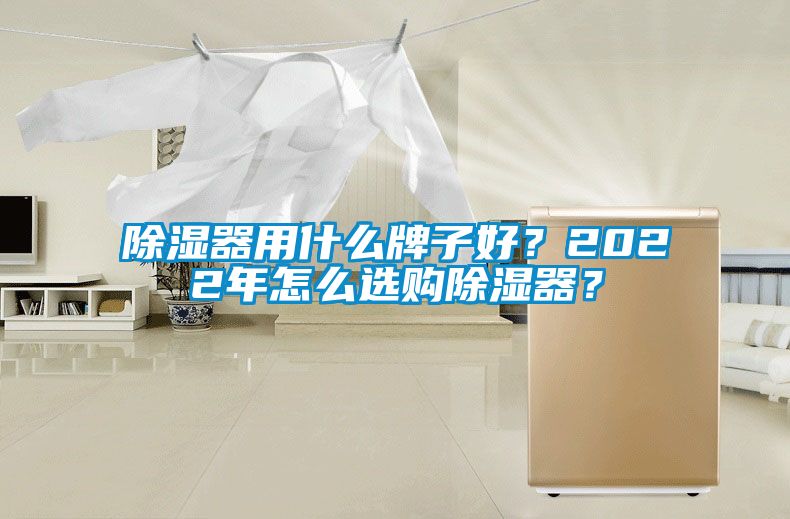 除濕器用什么牌子好？2022年怎么選購除濕器？