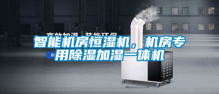 智能機房恒濕機，機房專用除濕加濕一體機