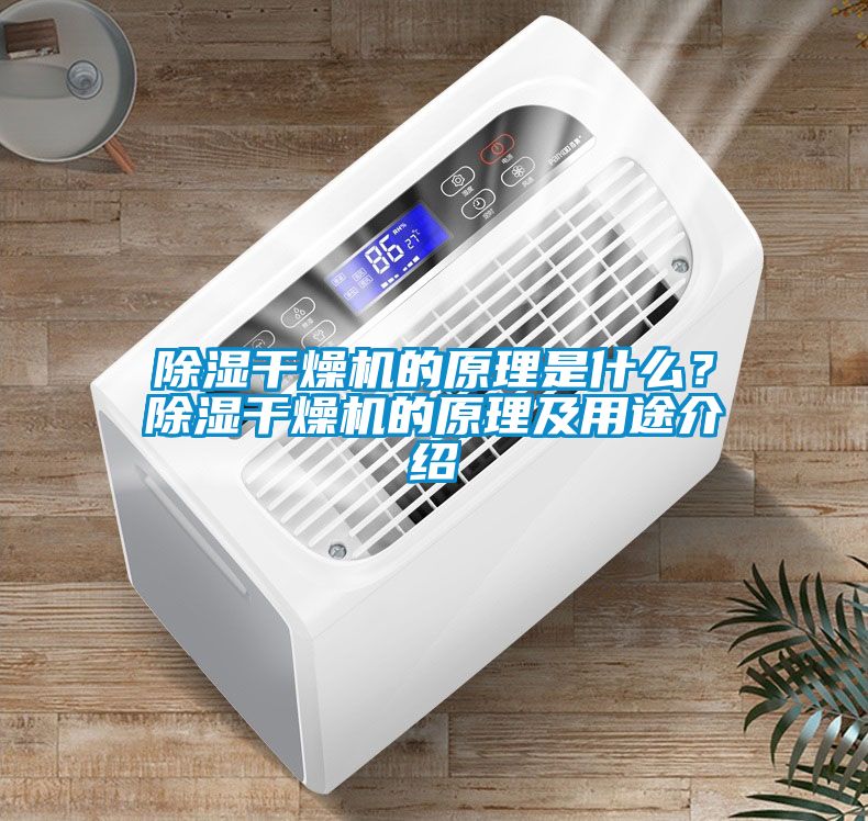 除濕干燥機的原理是什么？除濕干燥機的原理及用途介紹