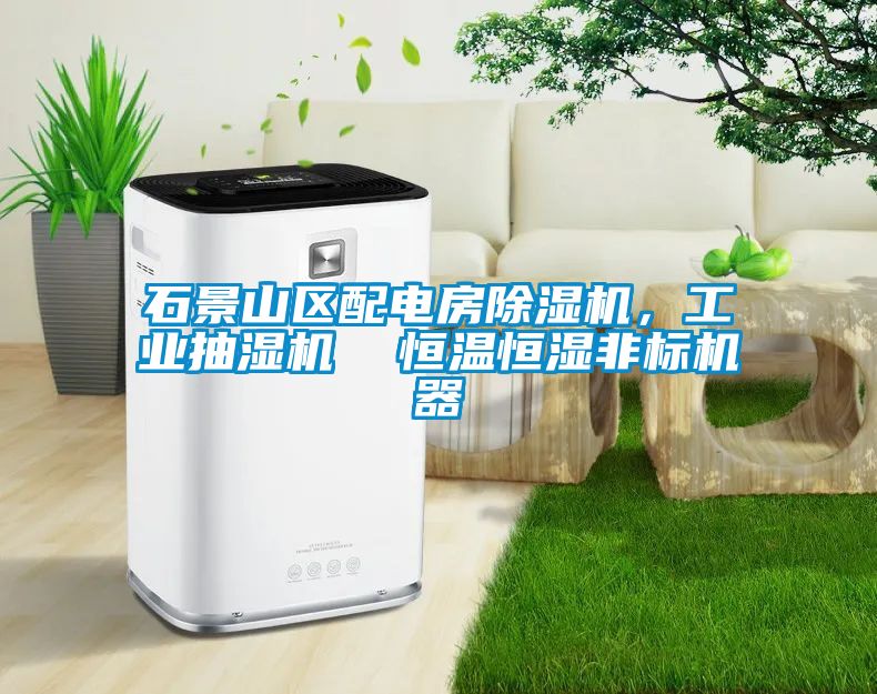 石景山區(qū)配電房除濕機(jī)，工業(yè)抽濕機(jī)  恒溫恒濕非標(biāo)機(jī)器