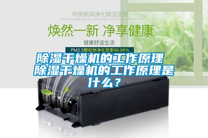 除濕干燥機的工作原理 除濕干燥機的工作原理是什么？