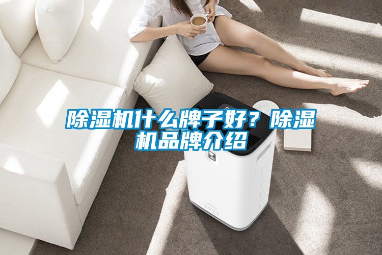 除濕機什么牌子好？除濕機品牌介紹