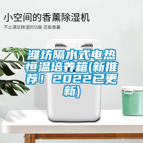 濰坊隔水式電熱恒溫培養(yǎng)箱(新推薦！2022已更新)