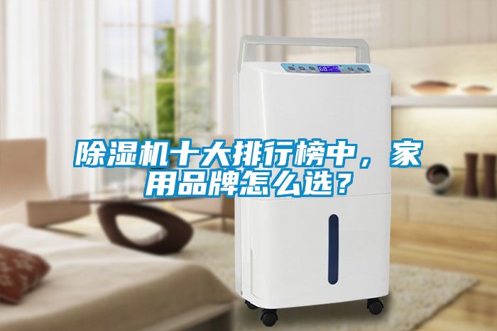 除濕機(jī)十大排行榜中，家用品牌怎么選？