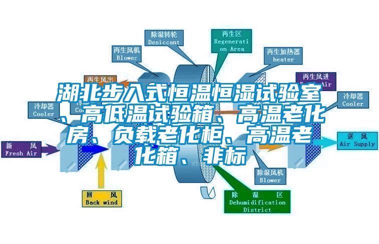 湖北步入式恒溫恒濕試驗(yàn)室、高低溫試驗(yàn)箱、高溫老化房、負(fù)載老化柜、高溫老化箱、非標(biāo)