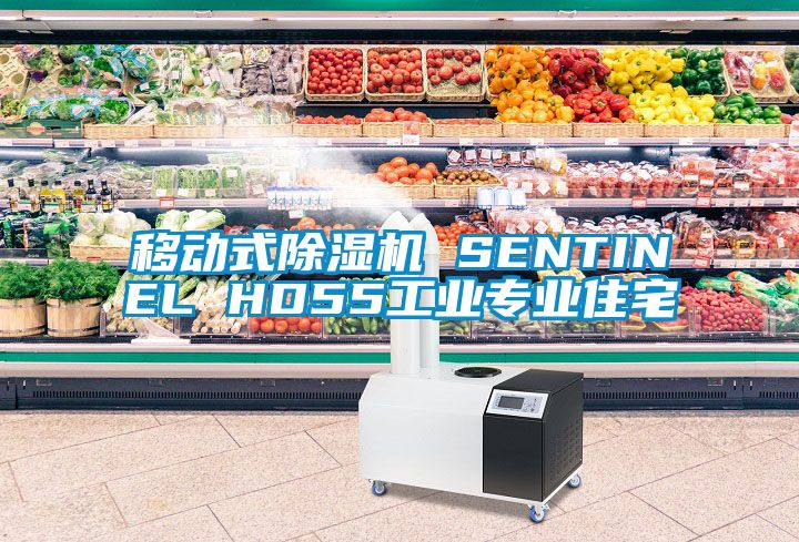 移動式除濕機 SENTINEL HD55工業(yè)專業(yè)住宅