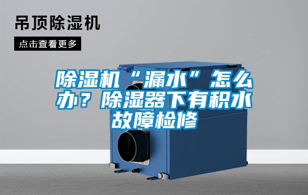 除濕機“漏水”怎么辦？除濕器下有積水故障檢修