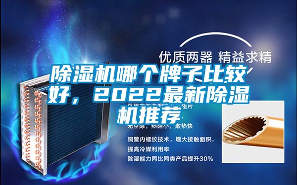 除濕機哪個牌子比較好，2022最新除濕機推薦