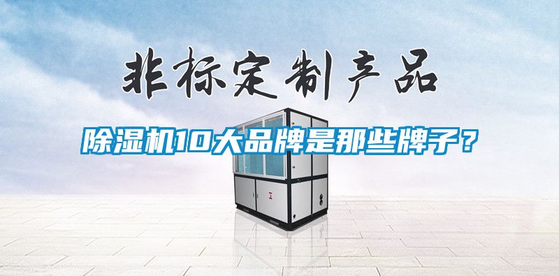 除濕機10大品牌是那些牌子？