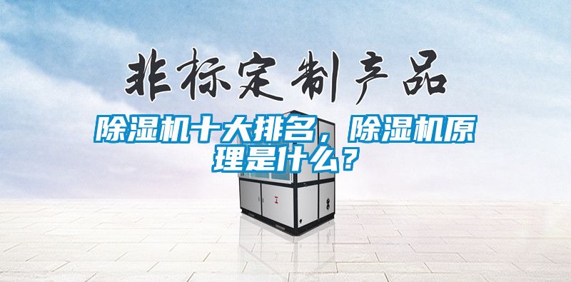 除濕機十大排名，除濕機原理是什么？