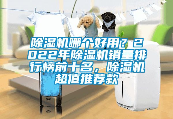 除濕機哪個好用？2022年除濕機銷量排行榜前十名，除濕機超值推薦款