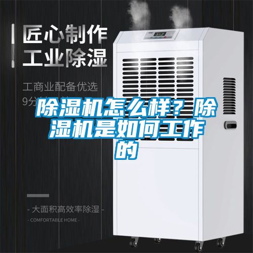 除濕機怎么樣？除濕機是如何工作的