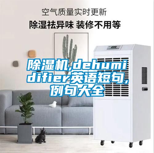 除濕機(jī),dehumidifier英語(yǔ)短句,例句大全