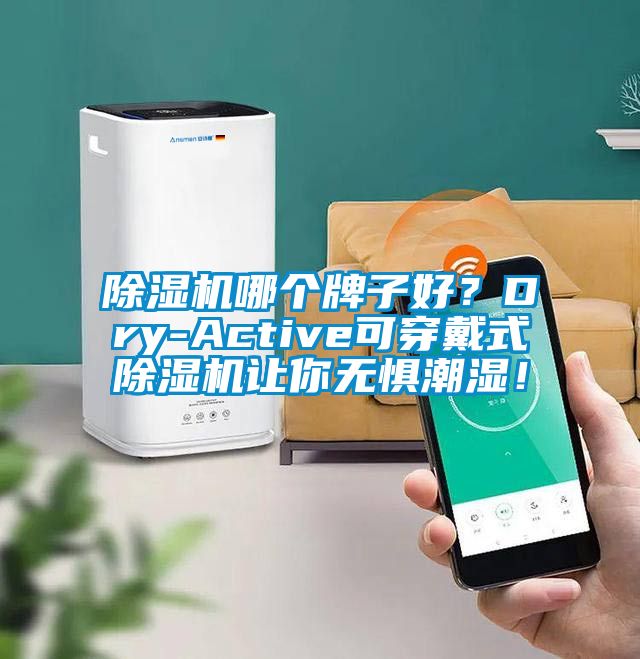 除濕機哪個牌子好？Dry-Active可穿戴式除濕機讓你無懼潮濕！