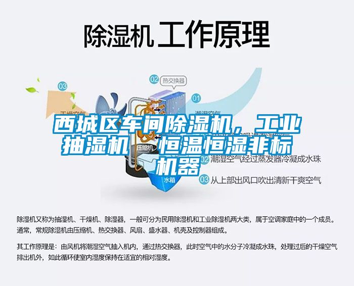 西城區(qū)車間除濕機，工業(yè)抽濕機  恒溫恒濕非標機器