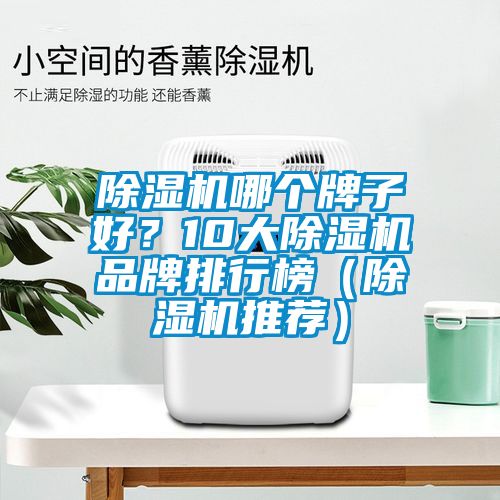 除濕機(jī)哪個(gè)牌子好？10大除濕機(jī)品牌排行榜（除濕機(jī)推薦）