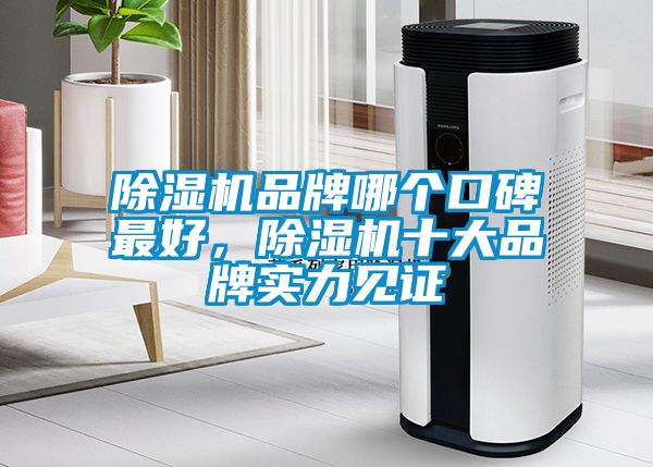 除濕機品牌哪個口碑最好，除濕機十大品牌實力見證