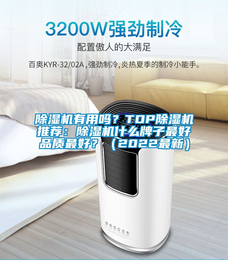 除濕機有用嗎？TOP除濕機推薦：除濕機什么牌子最好品質最好？（2022最新）