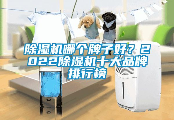 除濕機哪個牌子好？2022除濕機十大品牌排行榜