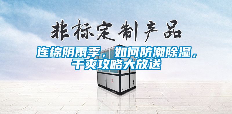 連綿陰雨季，如何防潮除濕，干爽攻略大放送