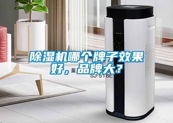 除濕機哪個牌子效果好，品牌大？