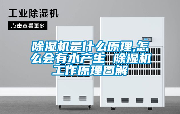 除濕機是什么原理,怎么會有水產生 除濕機工作原理圖解