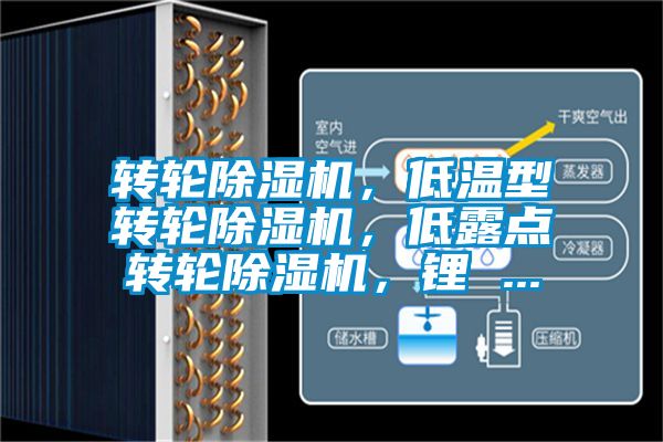 轉(zhuǎn)輪除濕機(jī)，低溫型轉(zhuǎn)輪除濕機(jī)，低露點(diǎn)轉(zhuǎn)輪除濕機(jī)，鋰 ...
