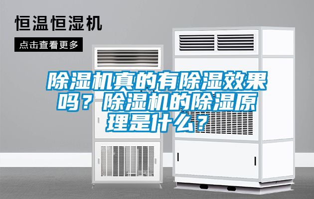 除濕機(jī)真的有除濕效果嗎？除濕機(jī)的除濕原理是什么？