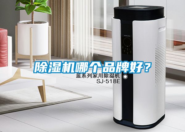 除濕機(jī)哪個品牌好？